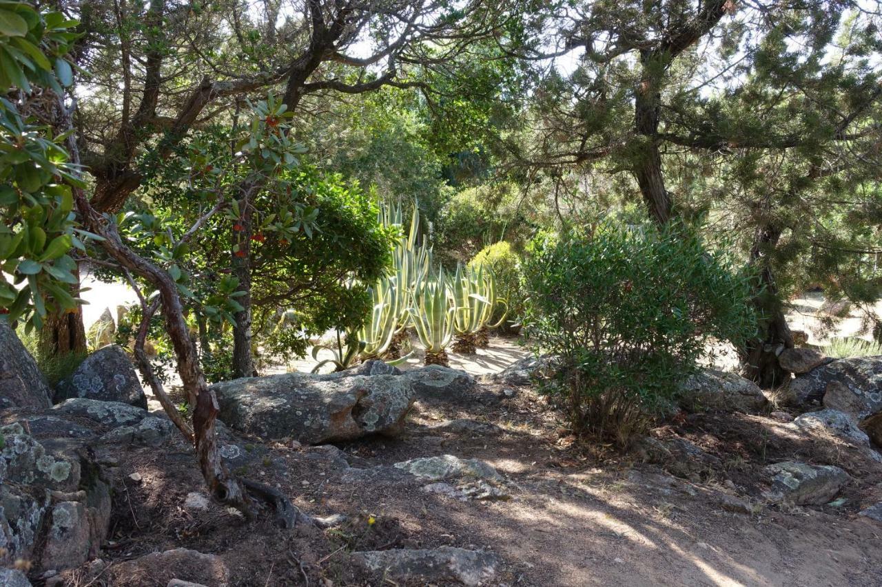 Domaine De La Punta Villa Porto-Vecchio  Dış mekan fotoğraf